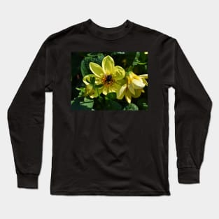 Busy Honey Bee Long Sleeve T-Shirt